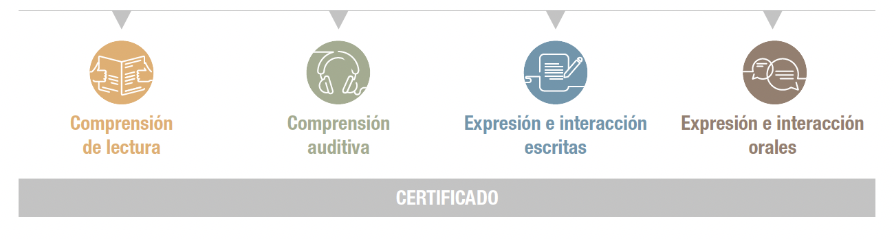 Siele global es